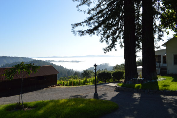 Sunrise over mount veeder